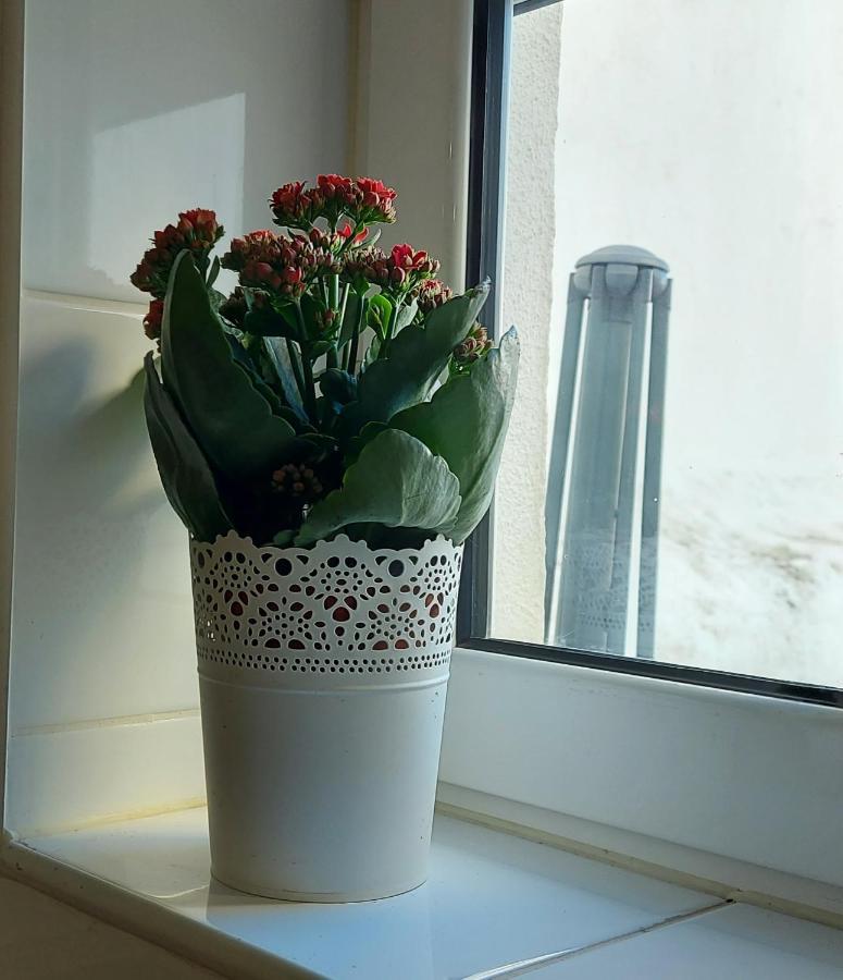 Cozy Studio In Central 리스본 외부 사진